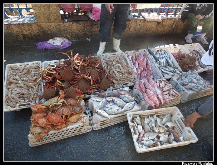 Pescadores de Essaouira